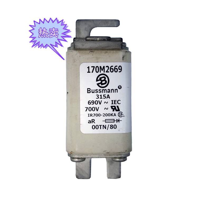 快速熔断器170M2699（80A）