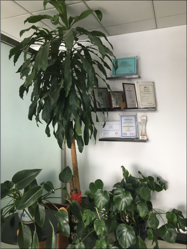 品牌授权证书展示区 品牌授权证书展示区