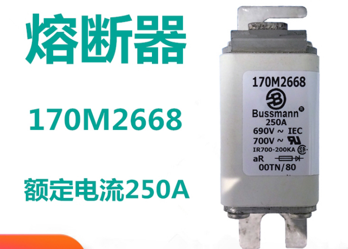 保险丝的组成部分 170M2668 保险丝的组成部分 170M2668